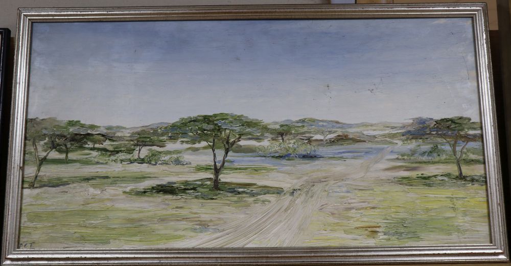 Peter C. Tonkin, oil on board, Ethiopian landscape, initialled and inscribed verso, 34 x 67cm